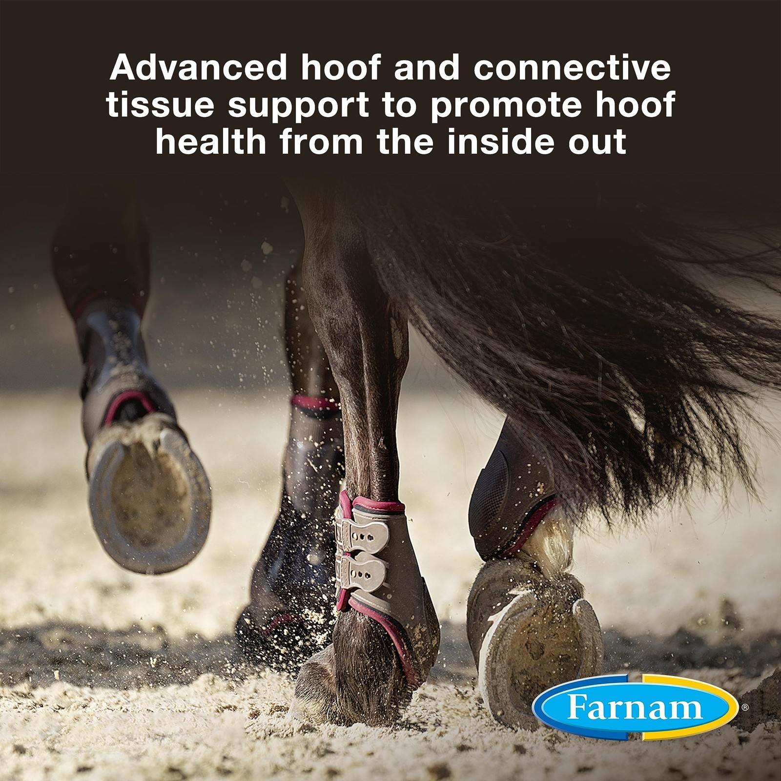 Farnam Horseshoers Secret Extra Strength Hoof Supplements Connective Tissue