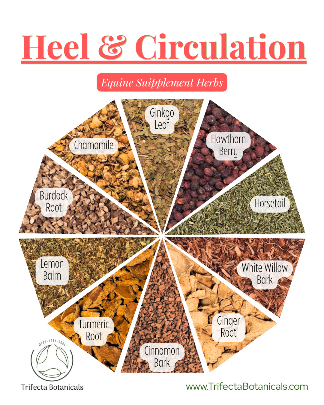 Heel & Circulation Herbal Horse Supplement – Equine Blend for Navicular Support