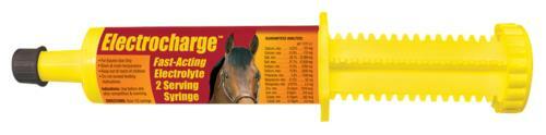Electrocharge Horse Hydration fast Acting Electrolytes 2 Serving Syringe 2oz USA