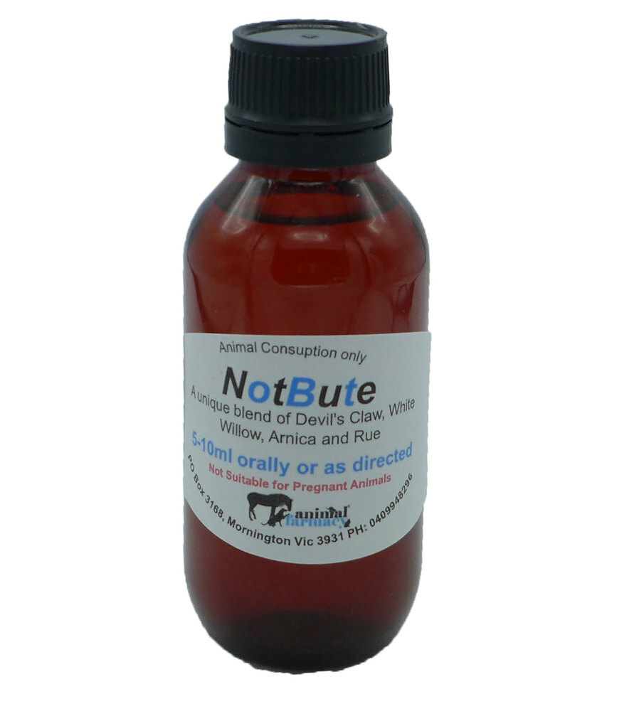 Not Bute Herbal Anti Inflammatory Control Pain In Horses Dog Naturally 100Ml