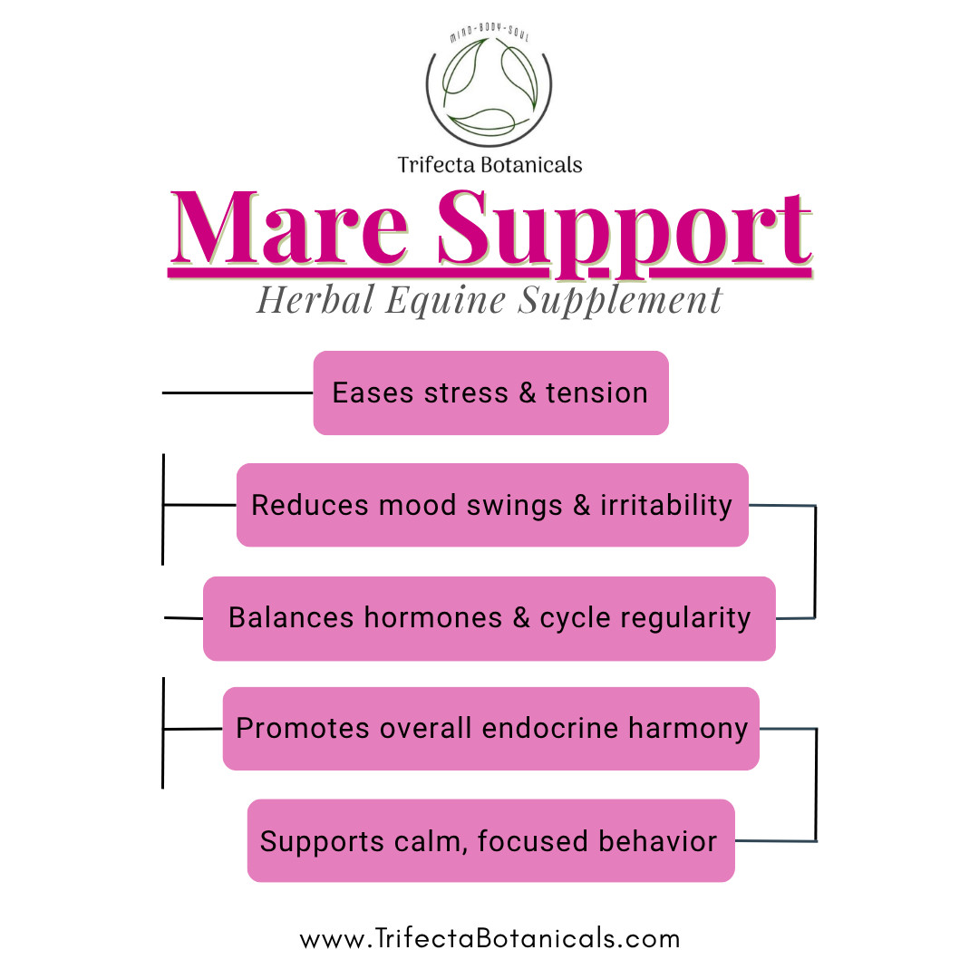 Moody Mare Support Herbal Horse Supplement – Natural Blend for Hormonal Balance