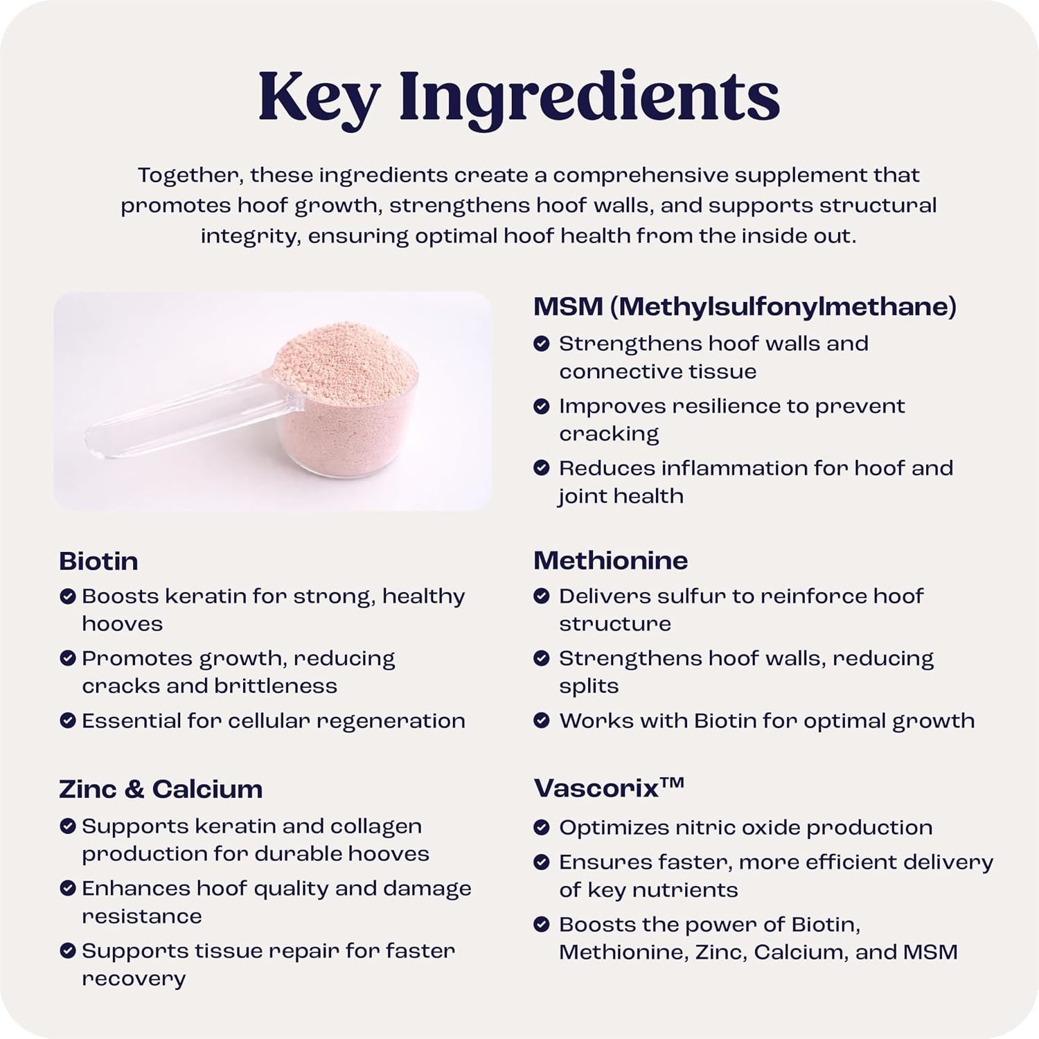 Summit Equine Hoof Strength Powder for Horses, Promotes Healthy Hooves with Biot