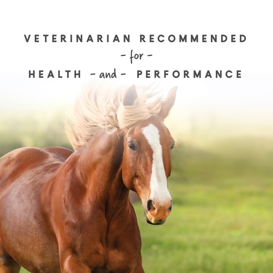 Manna Pro Sho Glo for Horses, Complete Vitamin and Supplement, 5 lbs