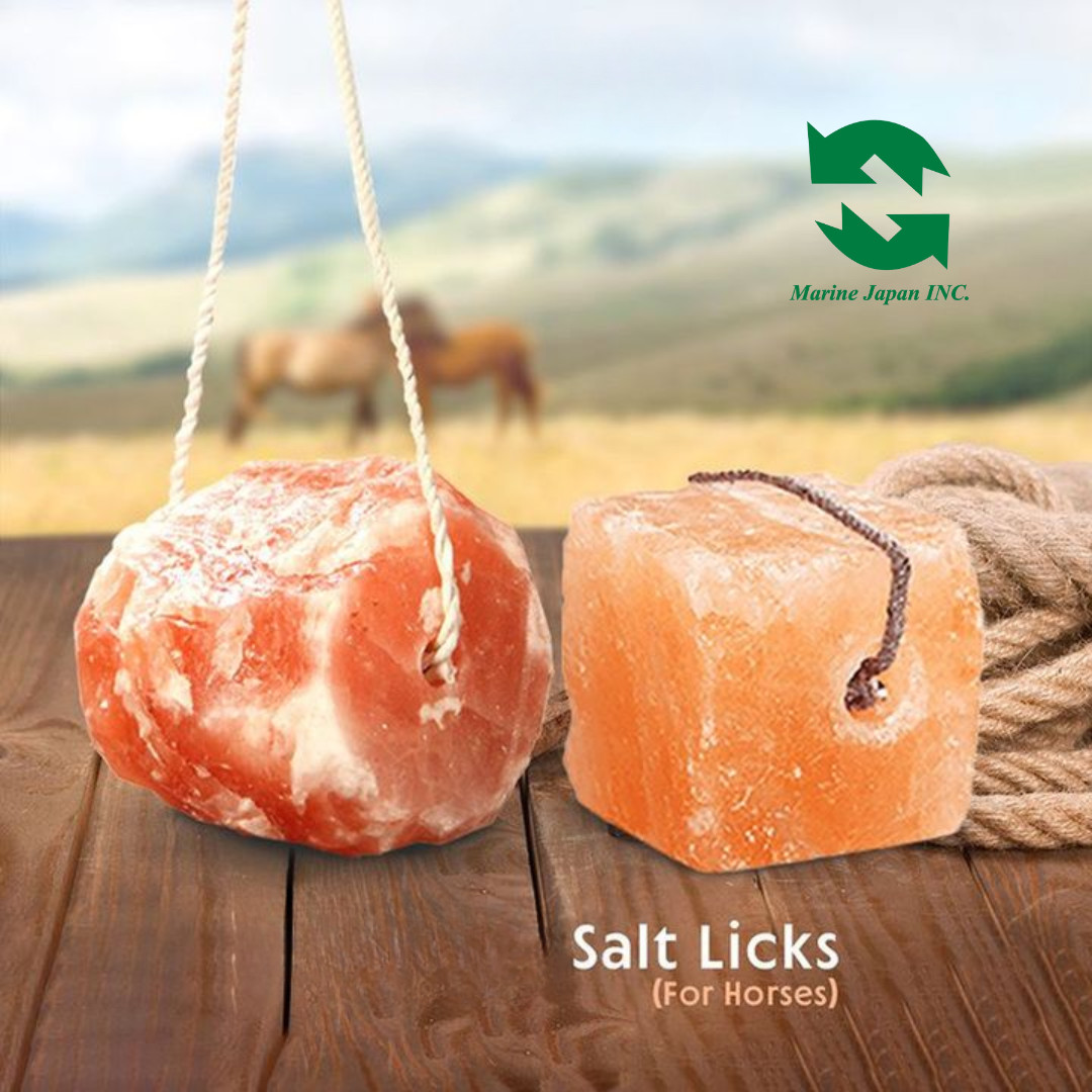 Pink Salt Lick Block for Animals 2.5–3KG x2 Natural Mineral Livestock