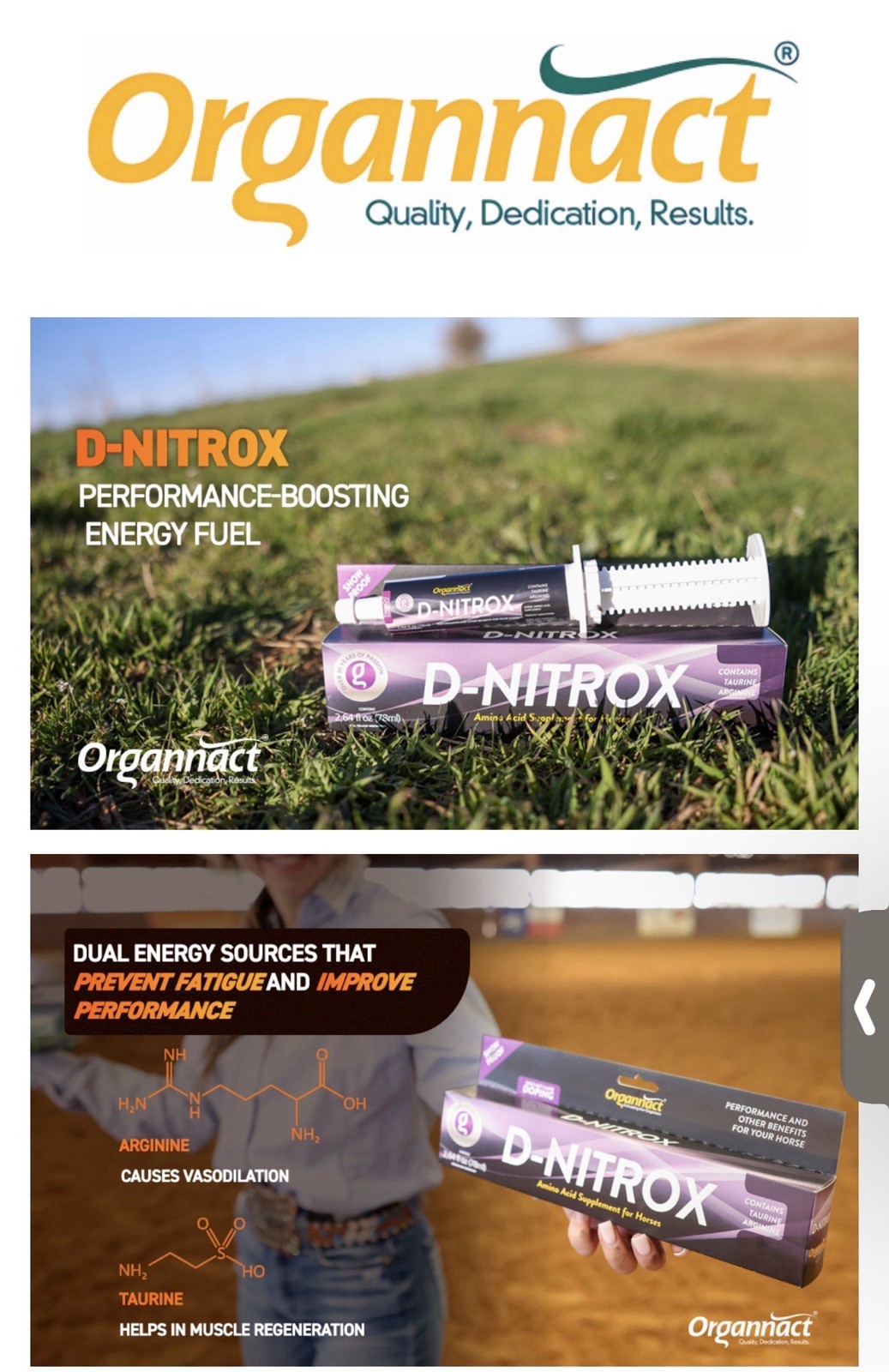 Equine Athletic Performance Supplement – Pre-Competition Formula