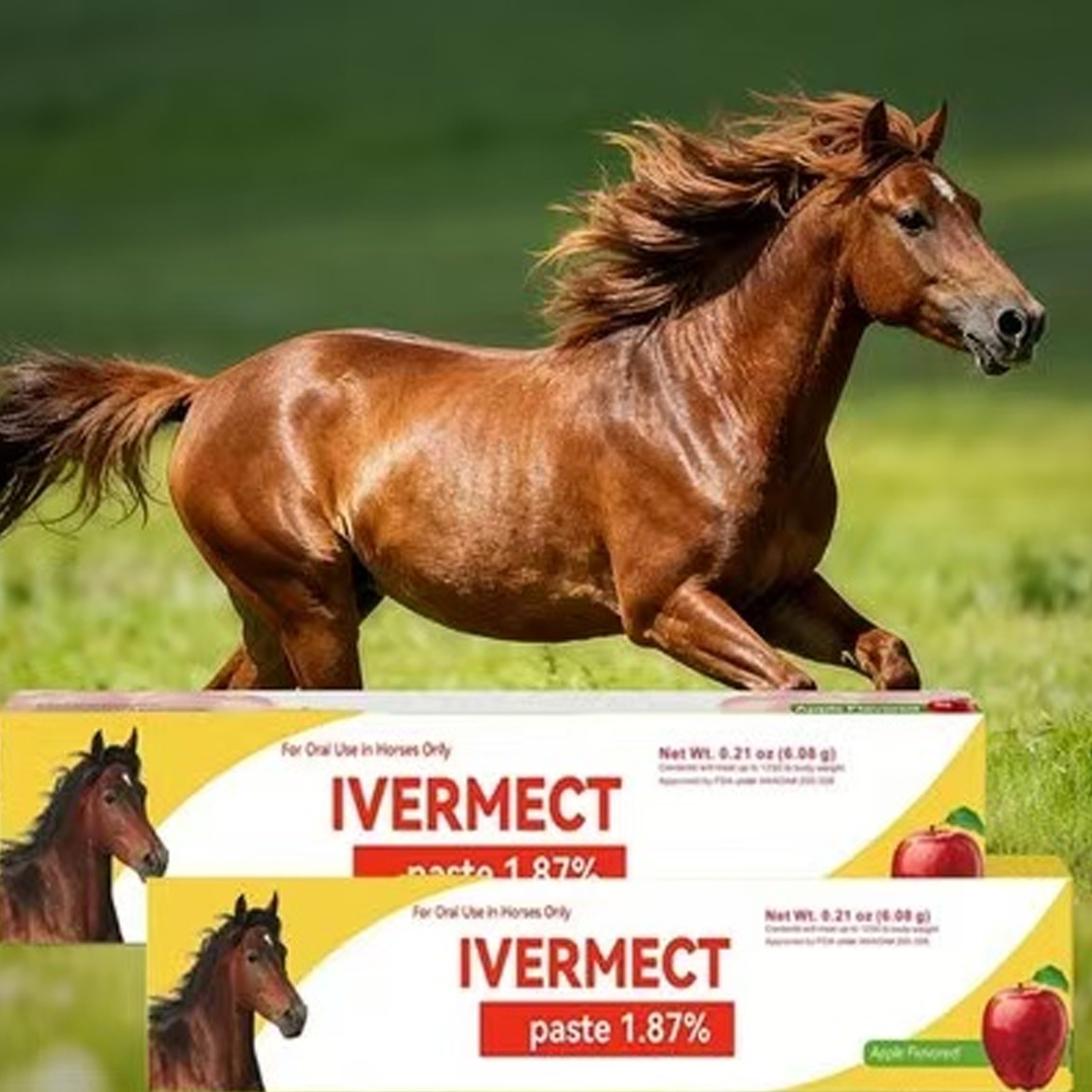 100 Pack New Paste Wormer Horse Dewormer Apple Flavor US Free ShippingEXP 1/2028