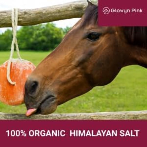 Glowyn Himalayan Salt Lick Block 6-Pack