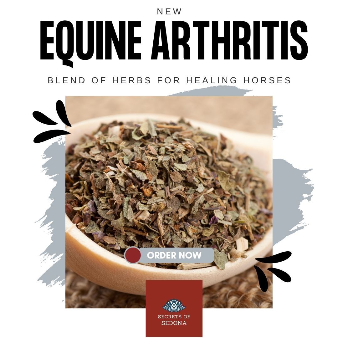 Equine Arthritis Herbal Blend for Horses