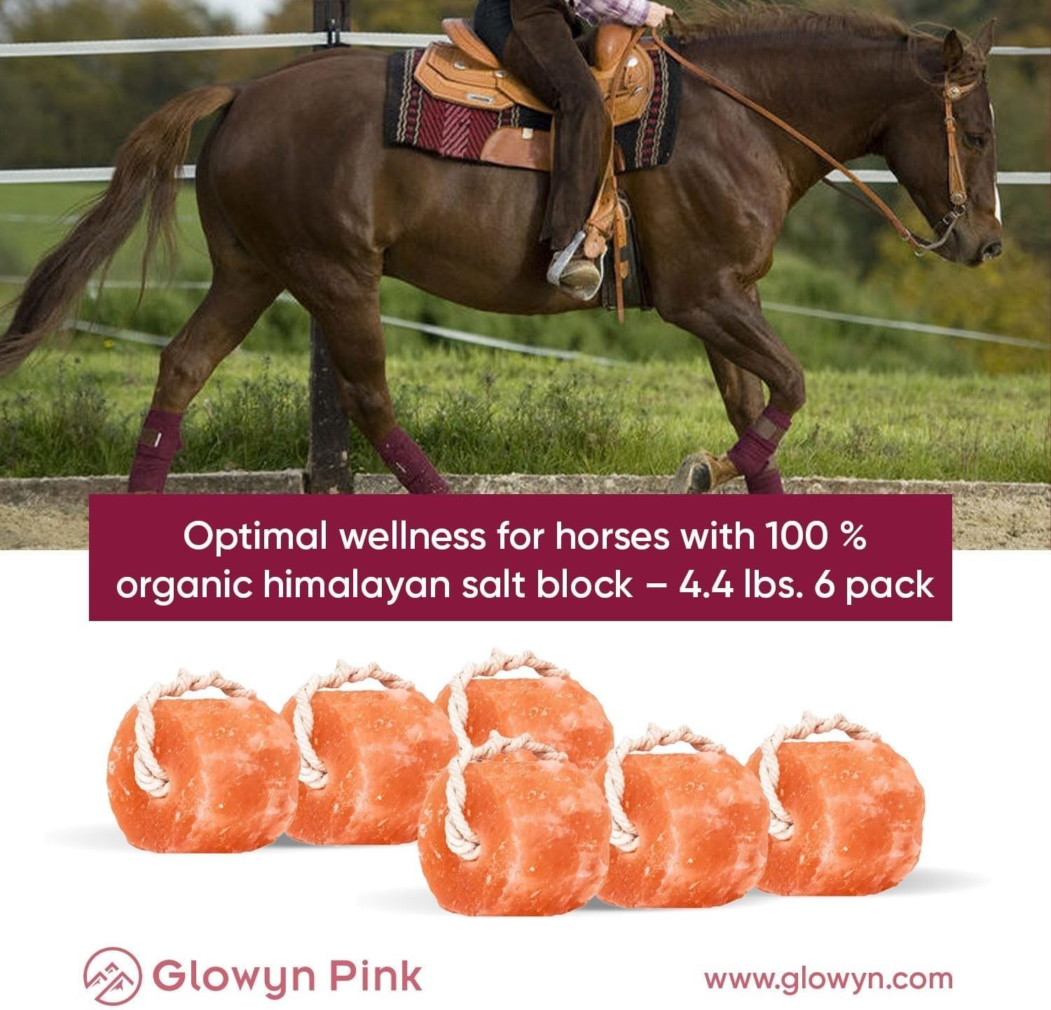 Glowyn Himalayan Salt Lick Block 6-Pack