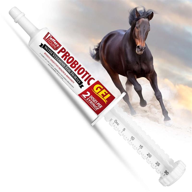 Jeffers Equine Probiotic Oral Gel for Horses, 30 cc Syringe – Supports Healthy G