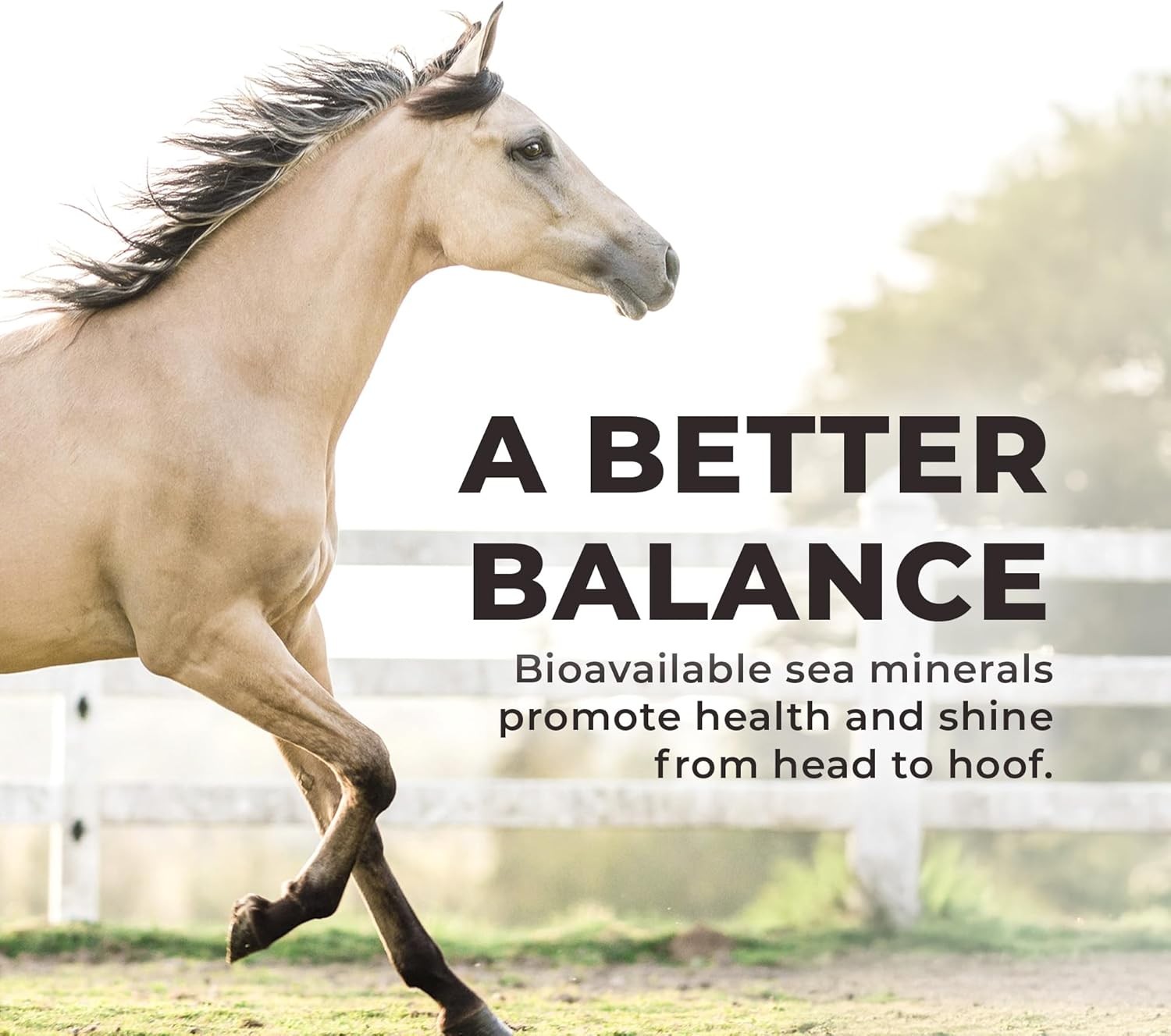 Daily Red Complete Wellness, Fortified Mineral Mix Supplement for Horses, 25Lb R