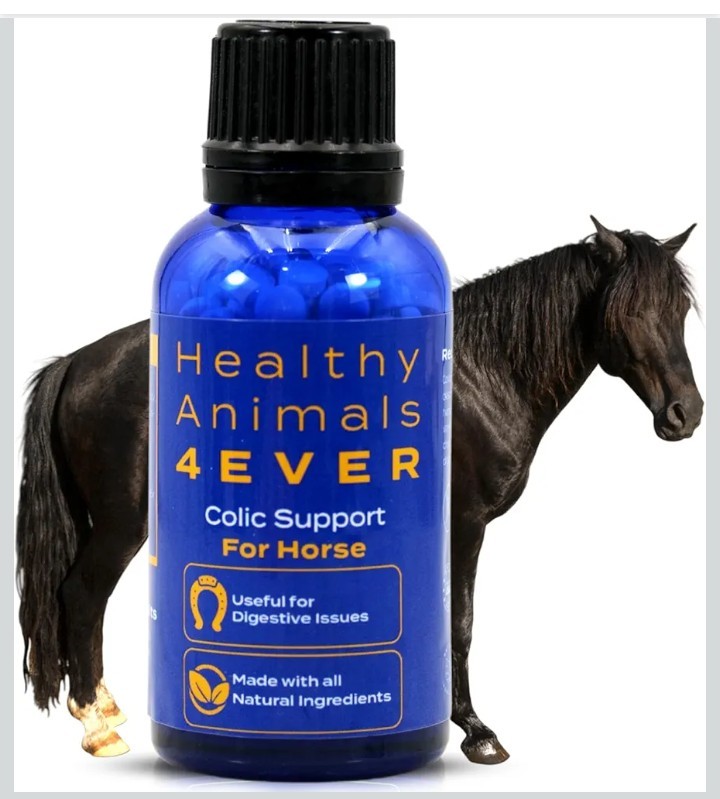Healthy Animals 4 Ever Colic Support, 300 Tablets New Sealed, Free Shipping