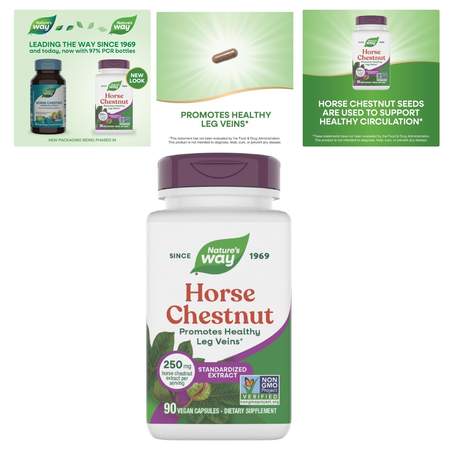 250 mg Horse Chestnut Extract – Supplement for Enhanced Circulation, 90 Ct