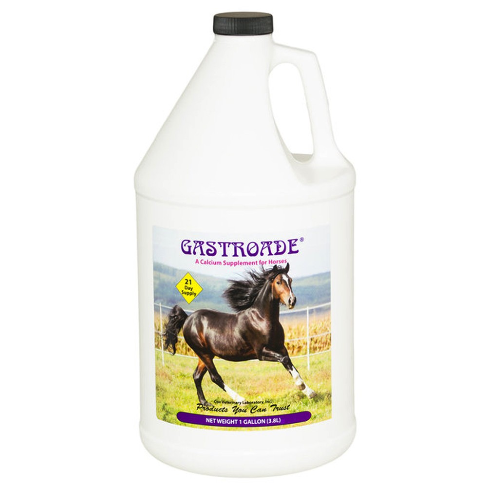 59RJ 1 Gallon Gastroade Calcium Horse Supplement