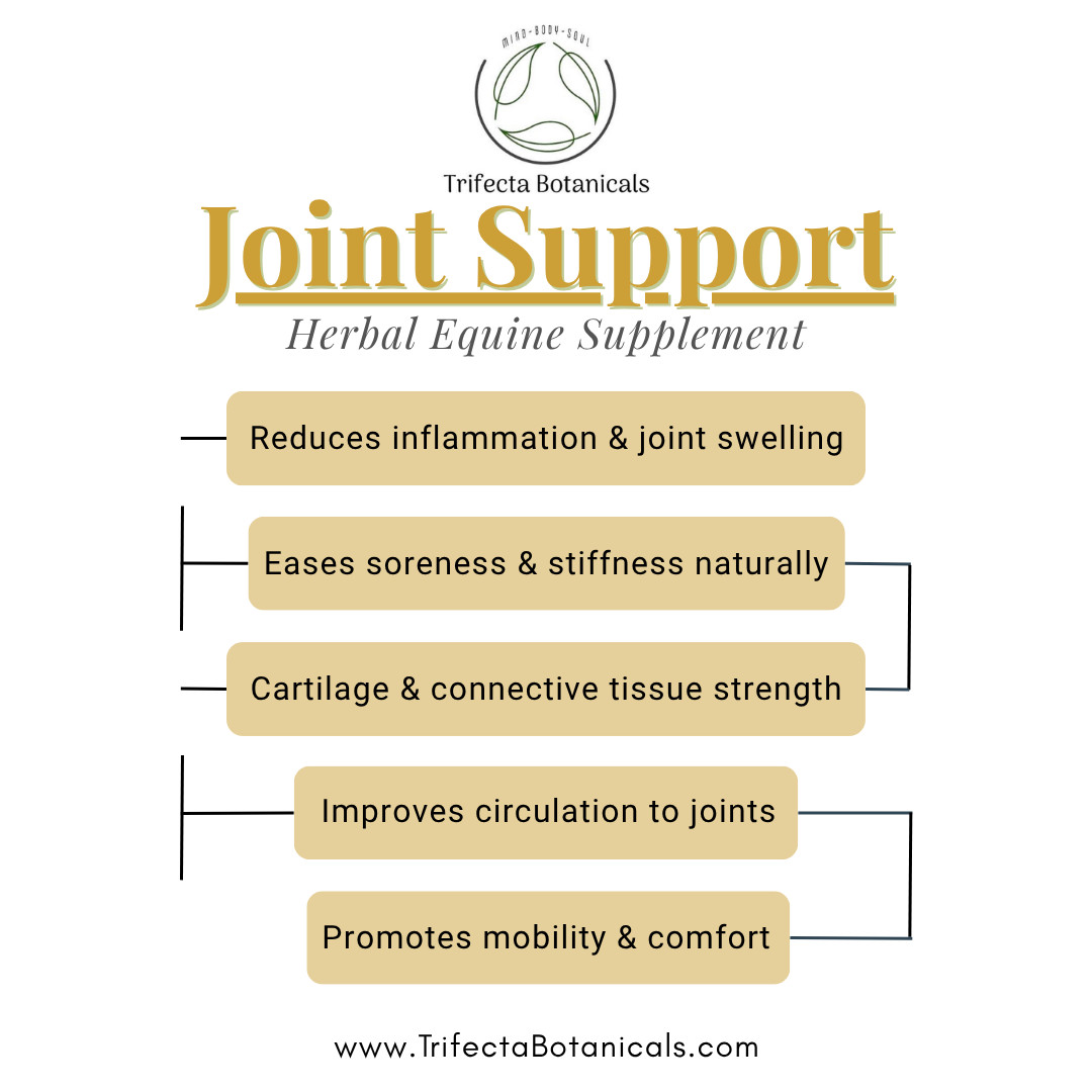 Joint Support Herbal Horse Supplement – Natural Mobility Blend for Horses