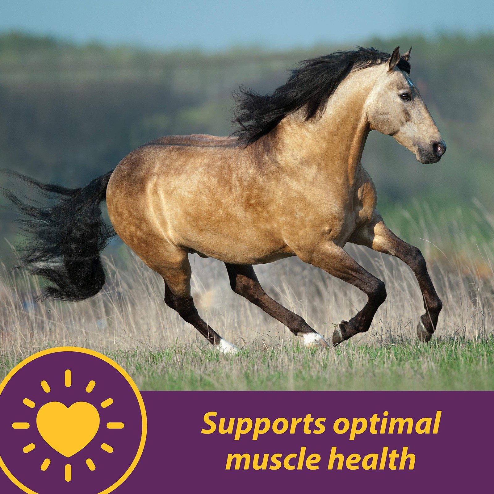 Horse Health Vita E & Selenium Crumbles Vitamin Supplement, Supports Optimal …