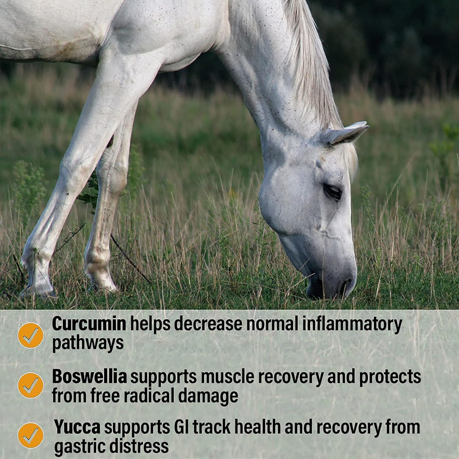 Bute-Less Performance Advanced Formula Horse Supplement Pellets, Supports Health