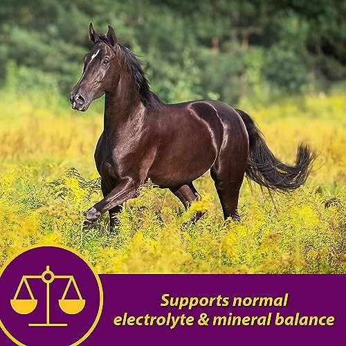 Horse Health Apple-dex Apple Flavored Electrolytes For Horses 5 Pound