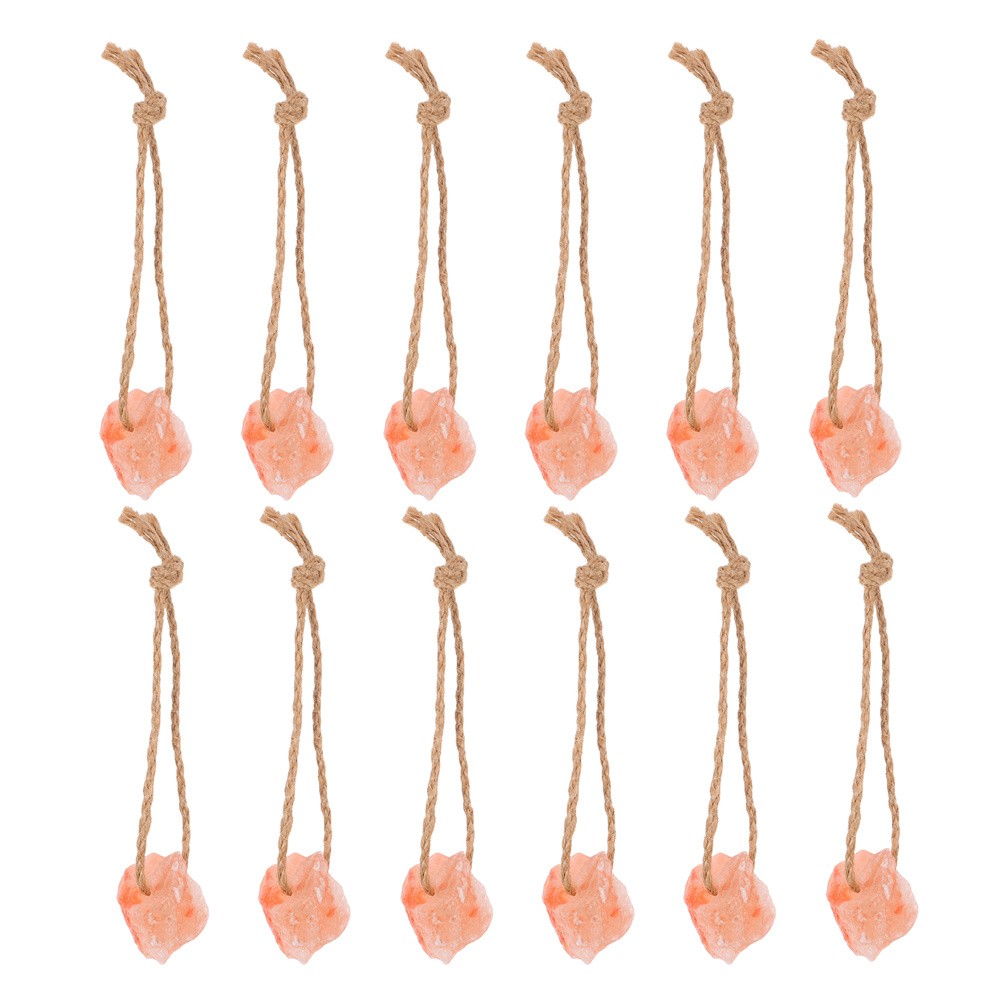 12 Pcs Rabbit Salt Lick Natural Brick Deer Blocks Hanging Livestock