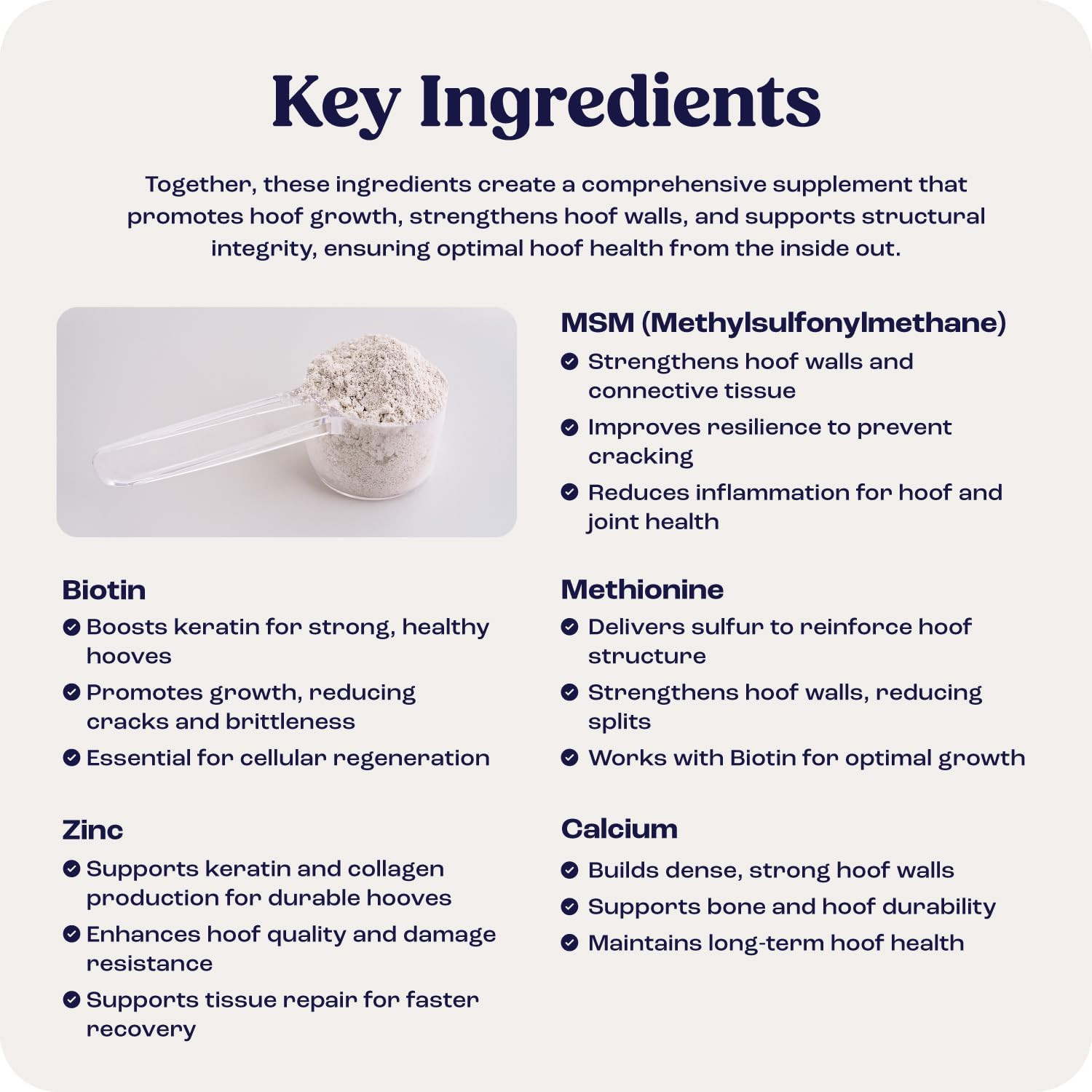 Summit Equine Hoof Strength Powder for Horses, Promotes Healthy Hooves with Biot