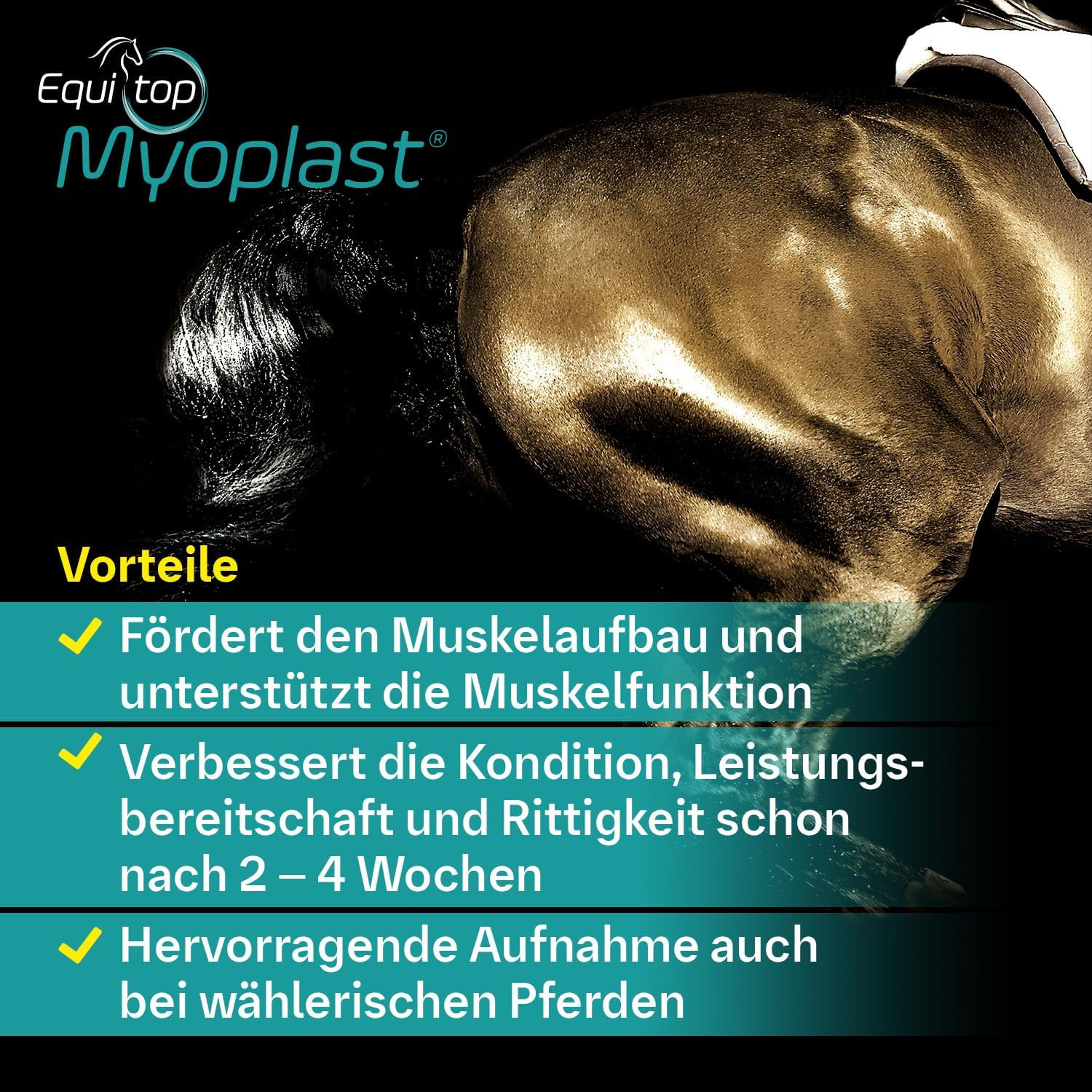 Myoplast Supplement for Horses 1.5Kg