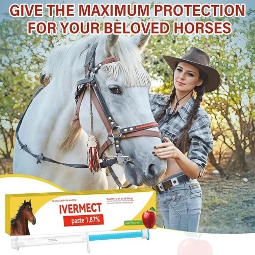 12 Pack New Paste Wormer Horse Dewormer Apple Flavor US Free Shipping