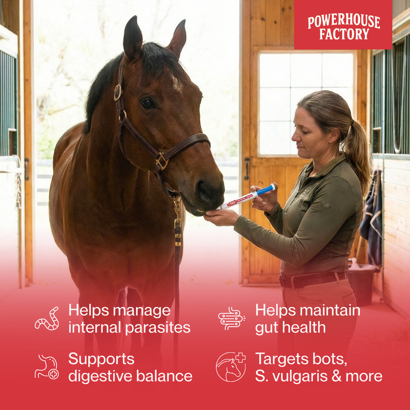 12 Pack In Box Paste Horse Dewormer Apple Flavor wormer horse Dewormer