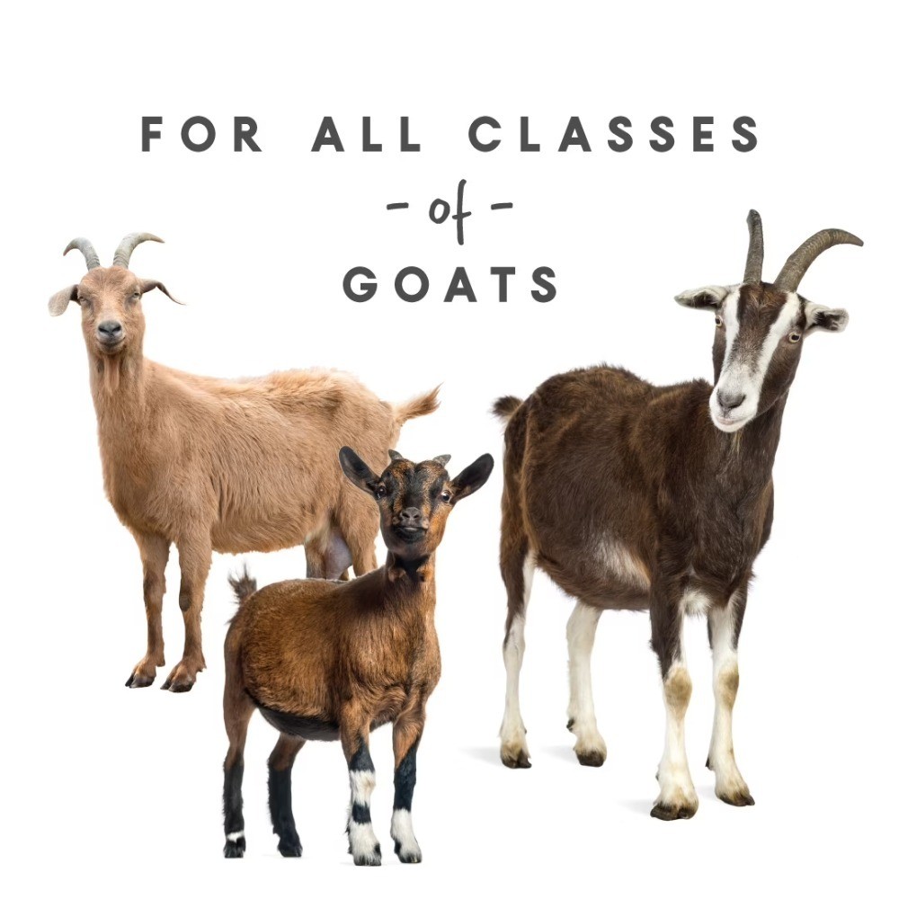 (2 pack) Goat Supplement, for All Classes of Goats, 8 lbs