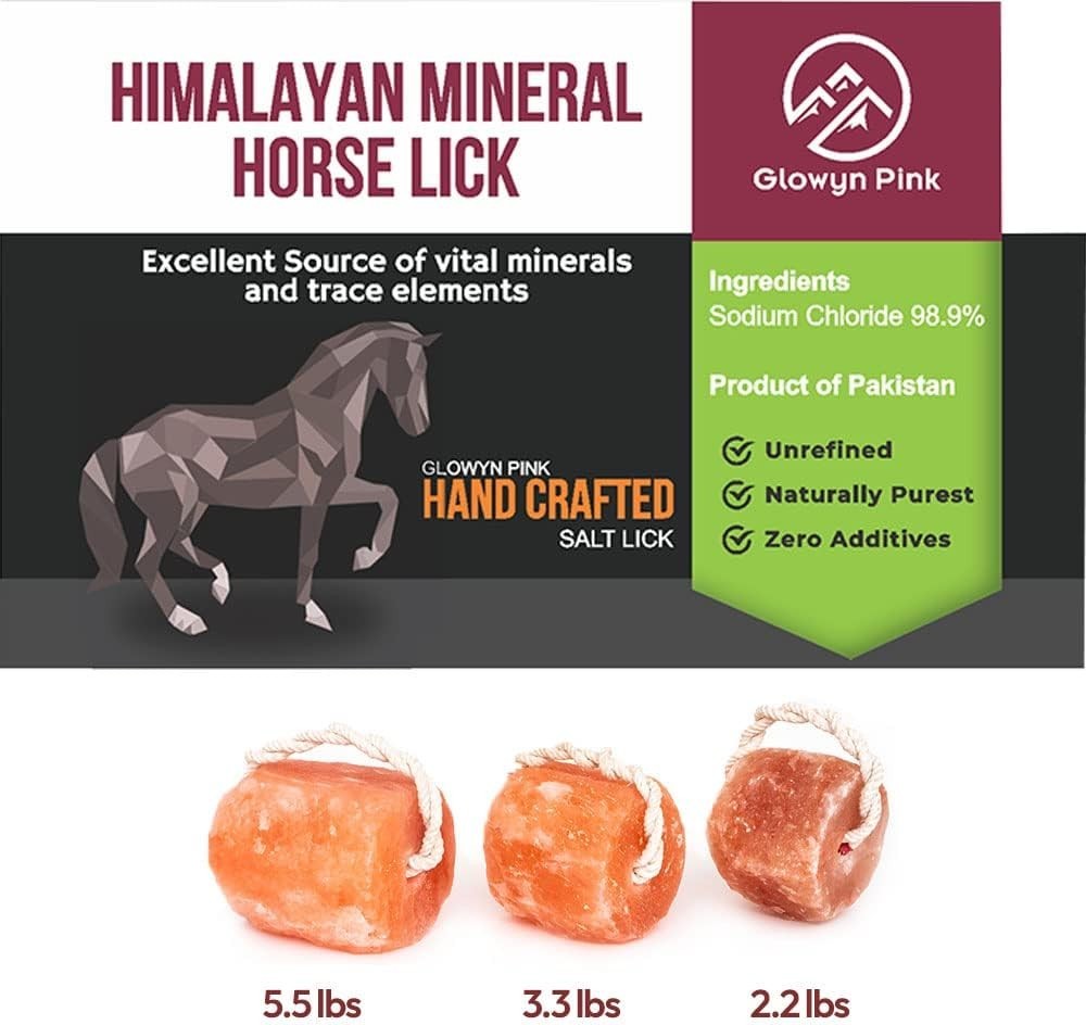 Glowyn Himalayan Salt Lick Block 6-Pack