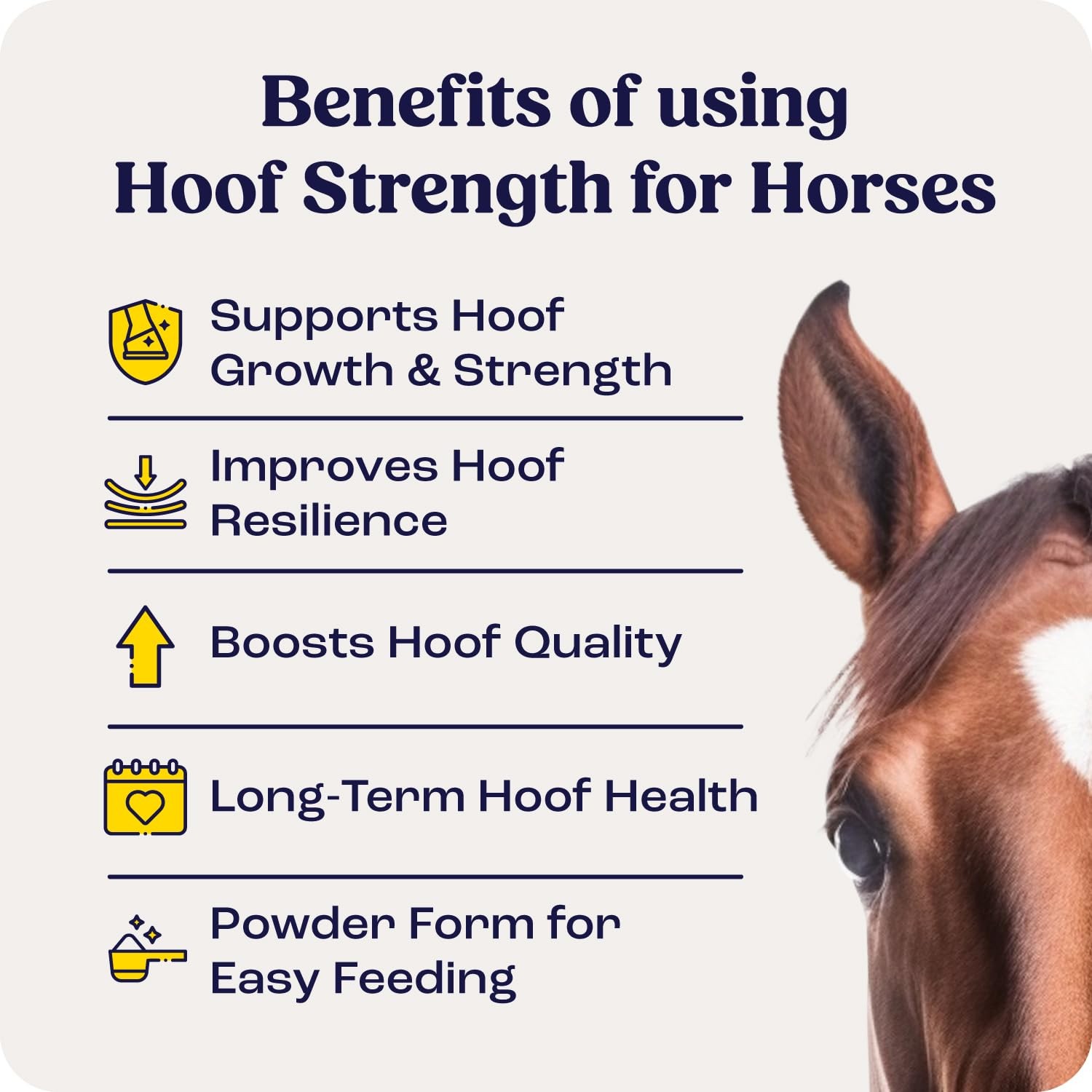Hoof Strength Powder for Horses – Biotin, Amino Acids & Minerals, 11 oz