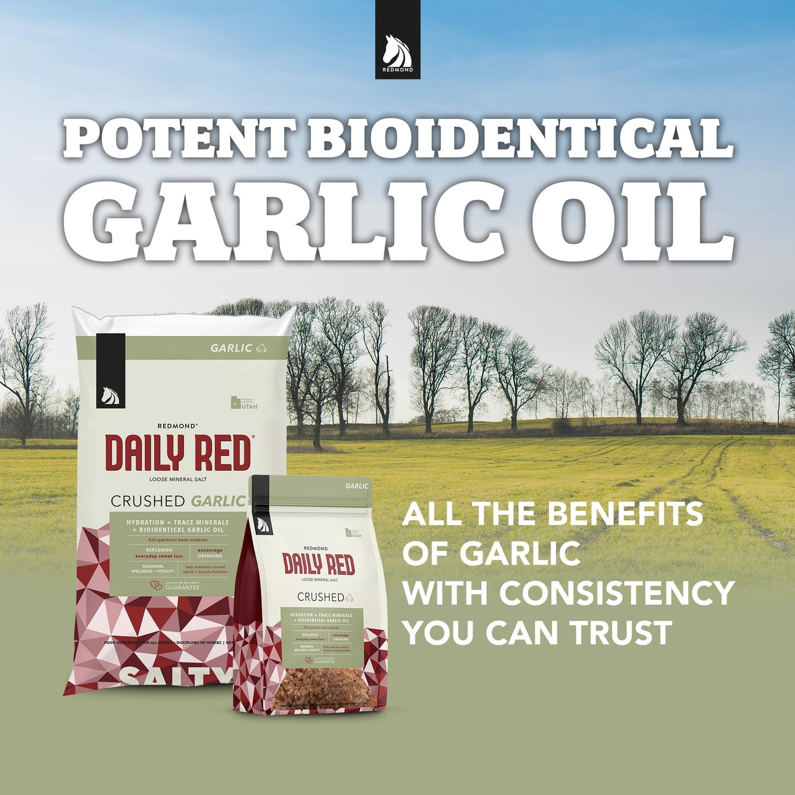 Daily Red Crushed Mineral Supplement for Horses with Garlic – 5 LB