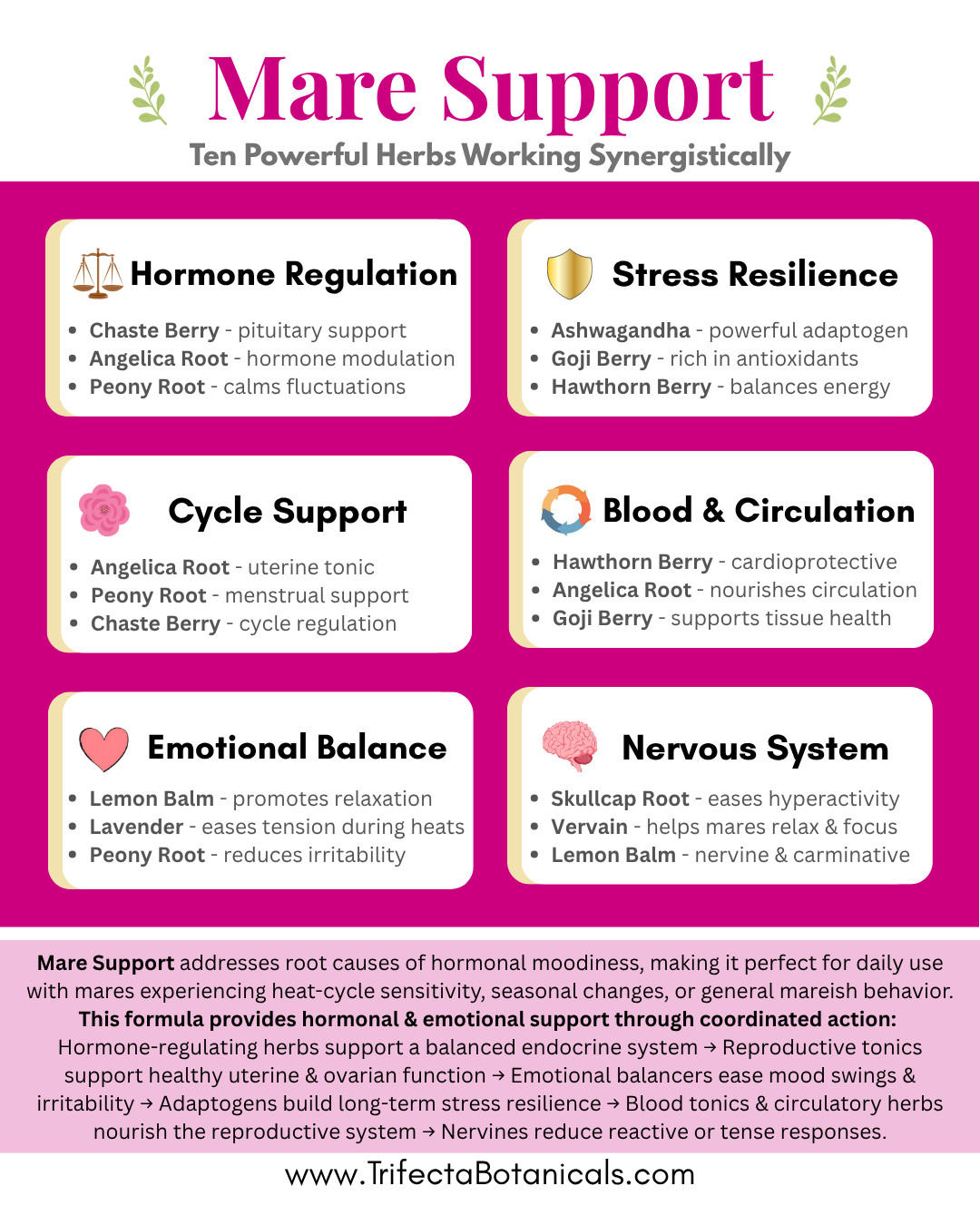 Moody Mare Support Herbal Horse Supplement – Natural Blend for Hormonal Balance