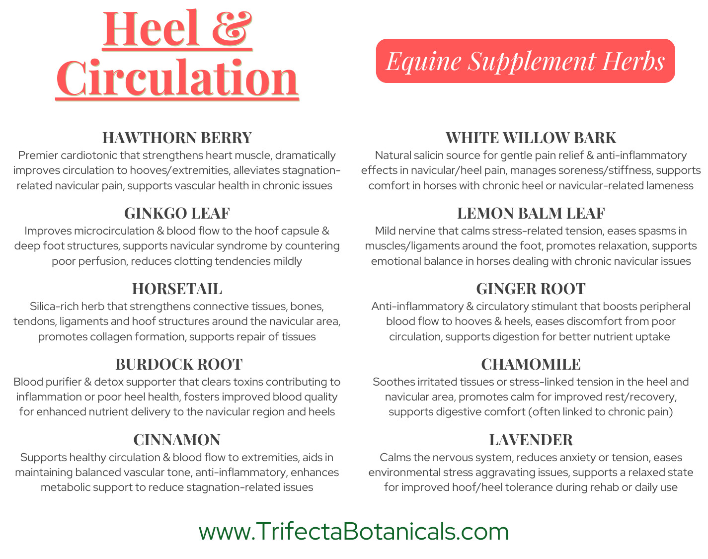Heel & Circulation Herbal Horse Supplement – Equine Blend for Navicular Support