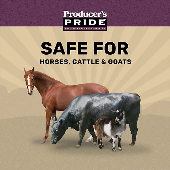 Producer’s Pride 12% Sweet Textured Livestock Feed 50 lb Bag Horses Cattle Goats
