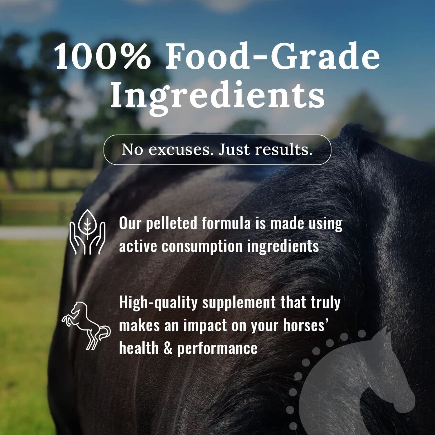 Mojo Joint Horse Supplements, Equine Food Grade Pelleted Supplement, All Natu…