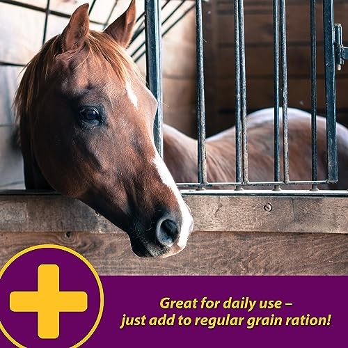 Horse Health Apple-dex Apple Flavored Electrolytes For Horses 5 Pound