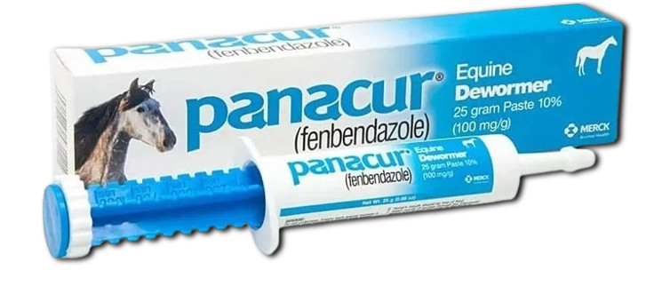 Panacur Dewormer Horse Paste 10%, 100mg | Single