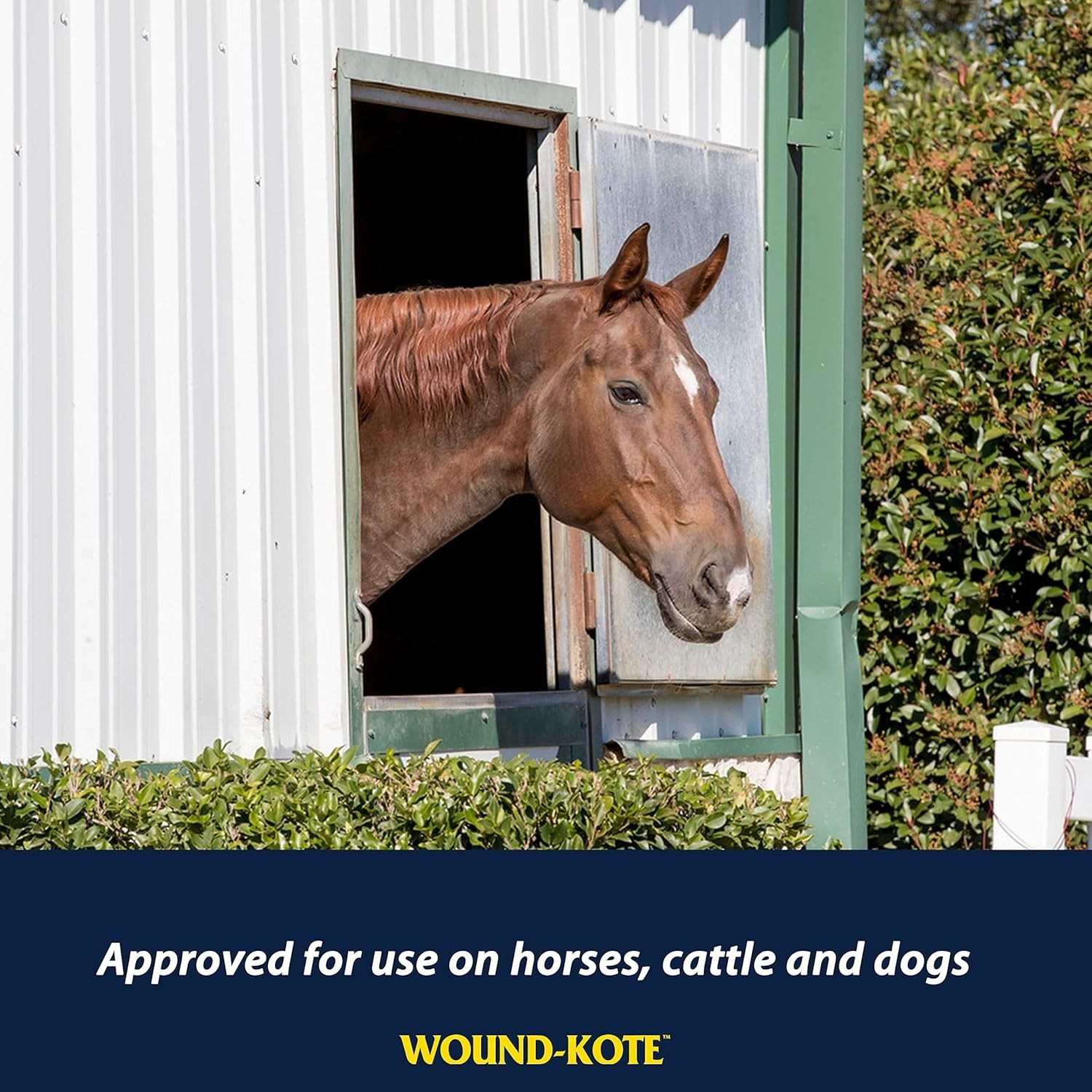 Wound-Kote Blue Lotion Spray – Antiseptic Wound Care for Horses & Dogs, 7 Oz