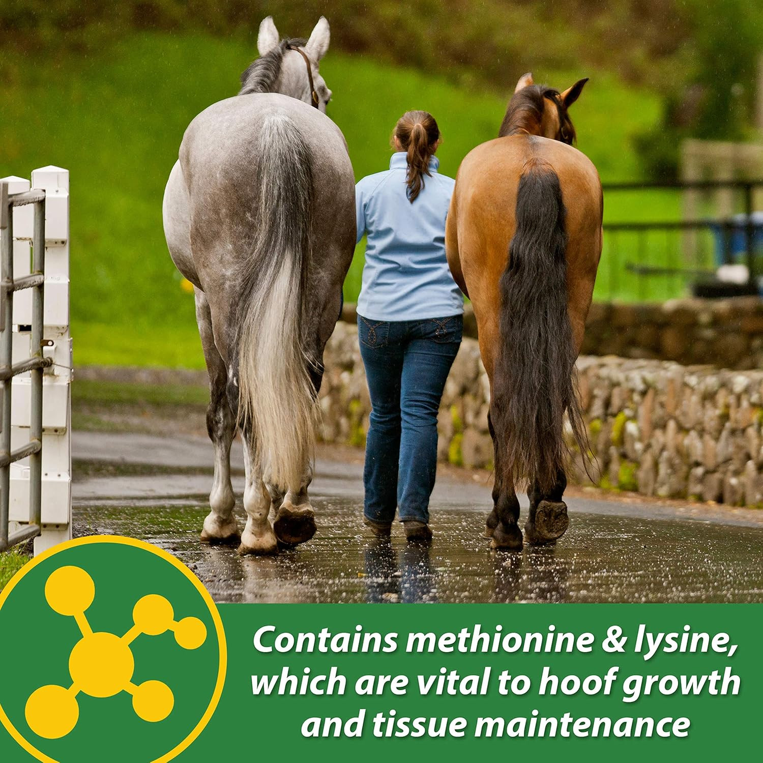 HB 15 Hoof Supplement, Supports Healthy Hoof Growth 3 Pound, 48 Day Supply