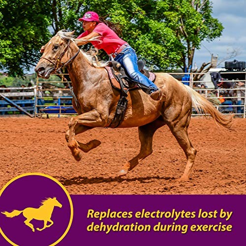 Horse Health Apple-dex Apple Flavored Electrolytes For Horses 5 Pound