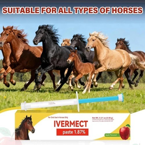 10 Pack New Paste Wormer Horse Dewormer Apple Flavor US Free Shipping