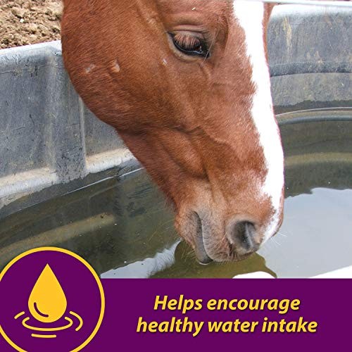 Horse Health Apple-dex Apple Flavored Electrolytes For Horses 5 Pound