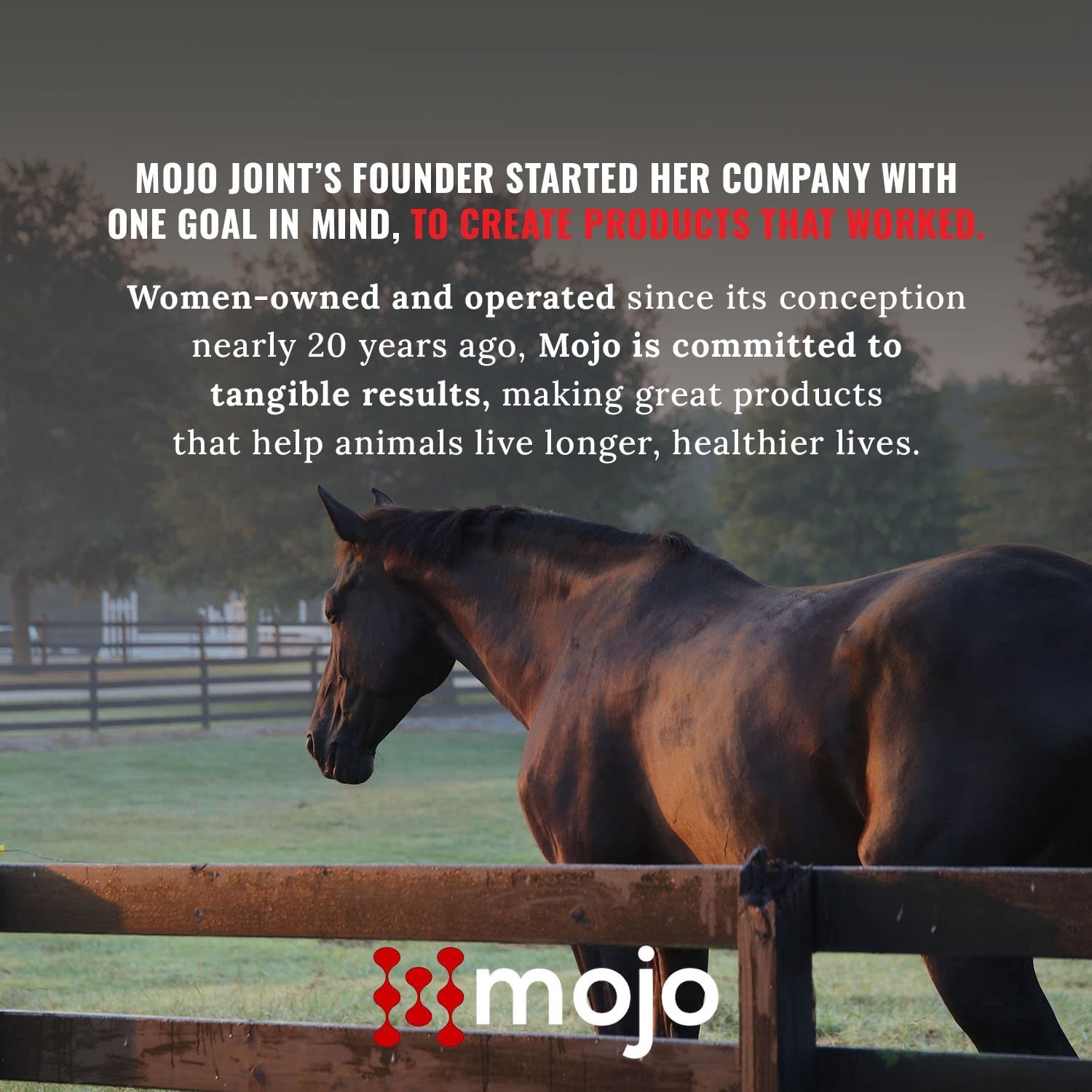 Mojo Joint Horse Supplements, Equine Food Grade Pelleted Supplement, All Natu…