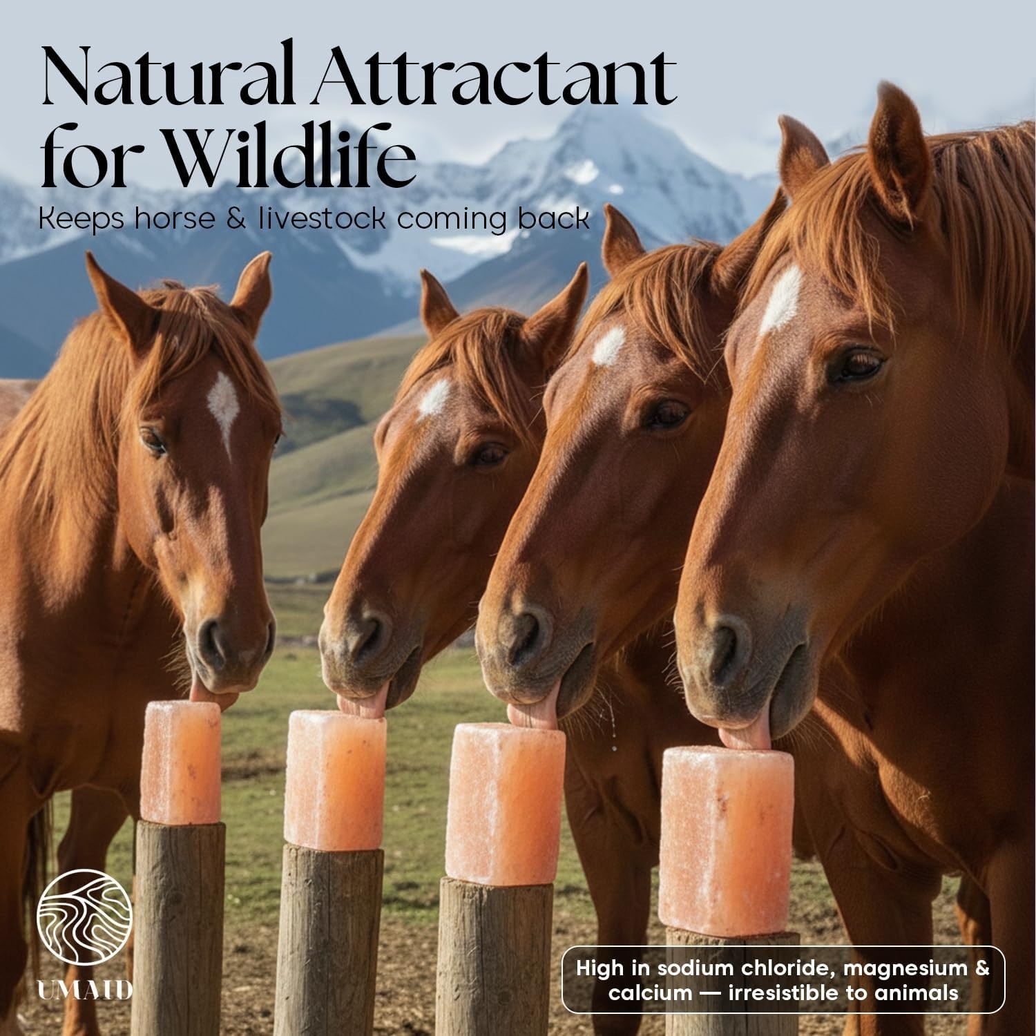4-Pack Himalayan Salt Blocks – Essential Health Supplement for Horses & Cattle