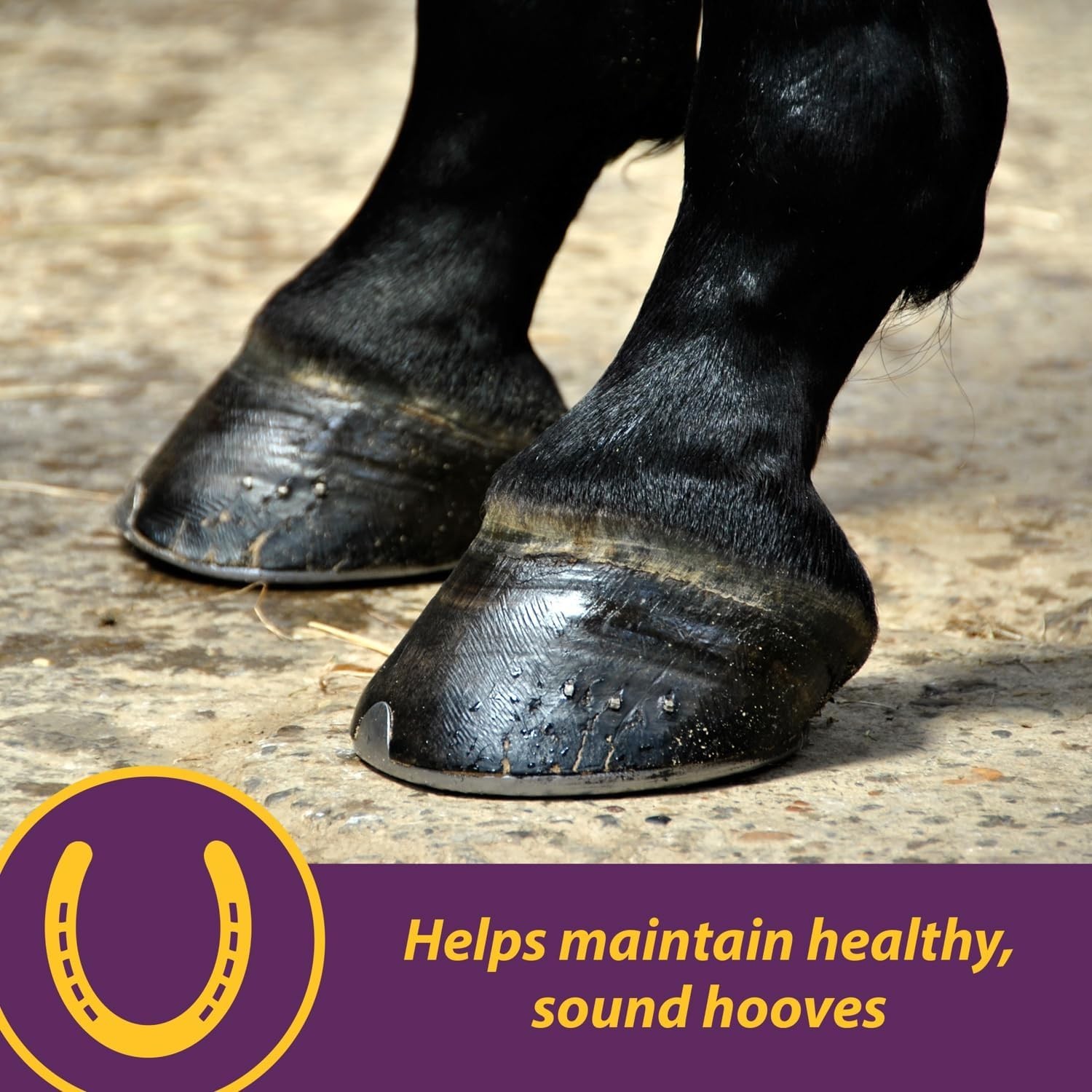 Horse Hoof Supplement Biotin Crumbles 3 lbs. Supports Healthy Hooves