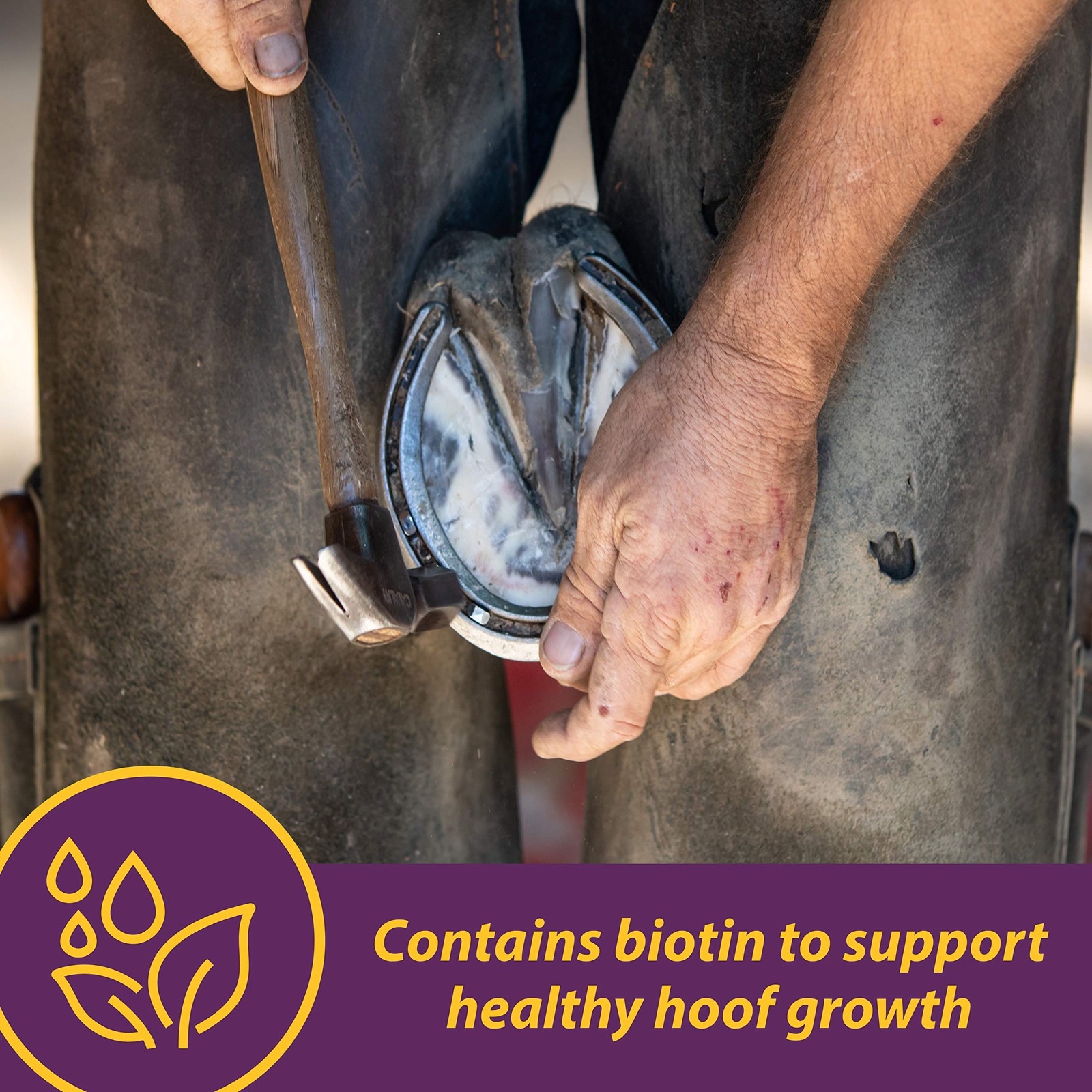 Vita Biotin Crumbles 3lb Horse Hoof Health Supplement for Strong Growth and W…