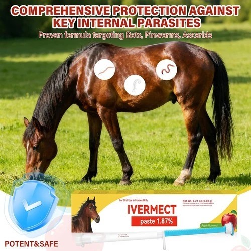 12 Pack New Paste Wormer Horse Dewormer Apple Flavor US Free Shipping