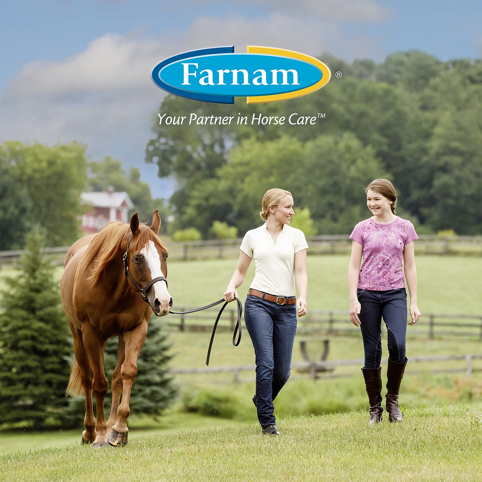 Farnam Horseshoers Secret Extra Strength Hoof Supplements Connective Tissue