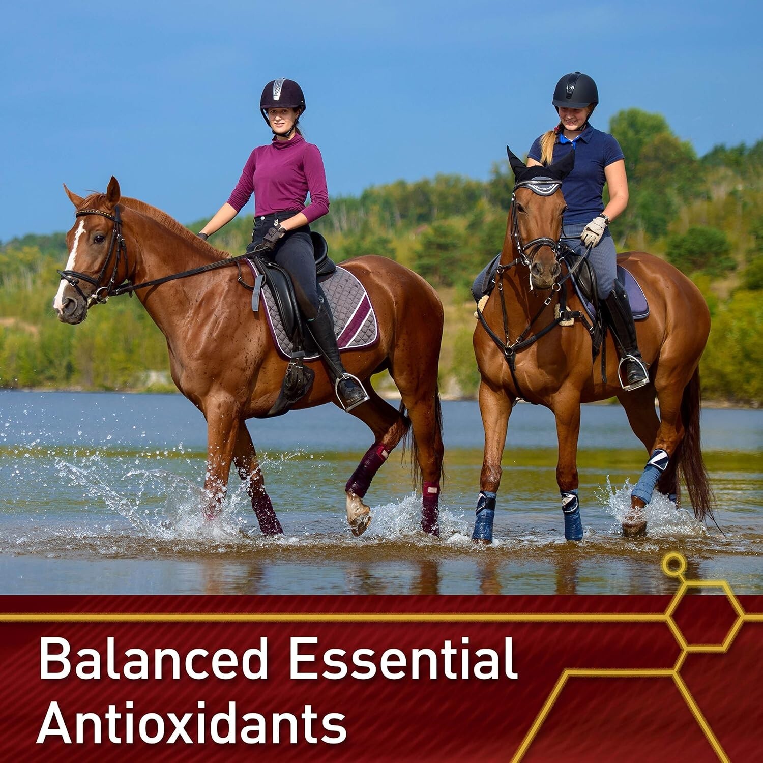 Pro E & Selenium Horse Supplement 4 lb – 64-Day Supply of Essential Antioxidants