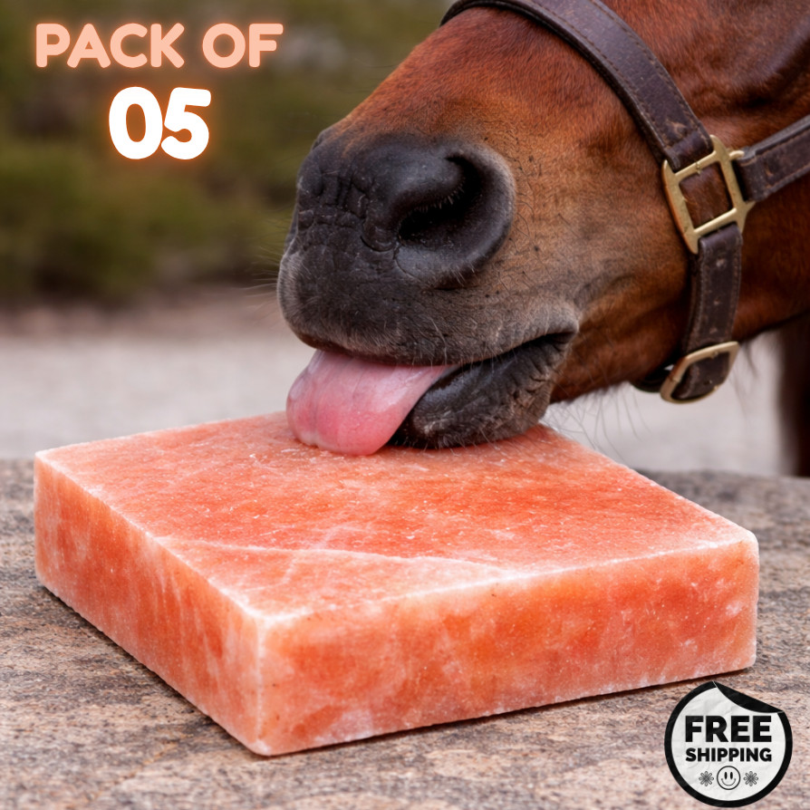 Himalayan Pink Salt Lick Block 8″x8″x2″ | Pack of 5 Natural Rock Mineral